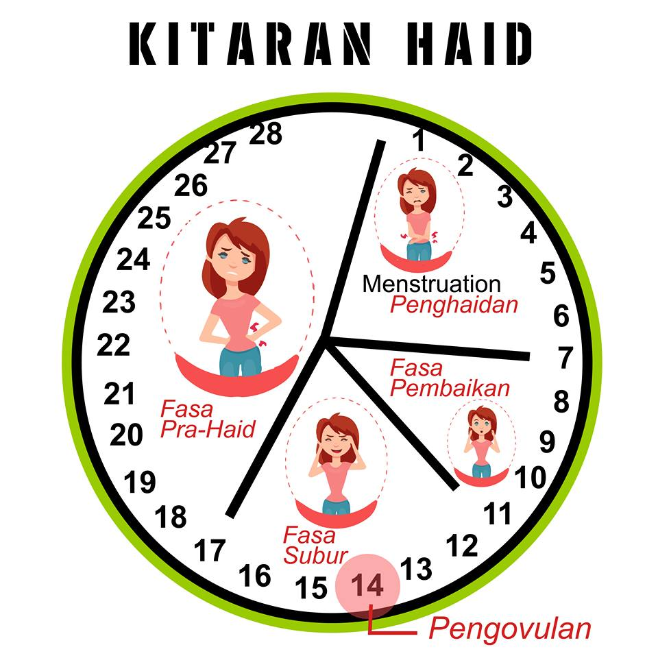 Kitaran Haid