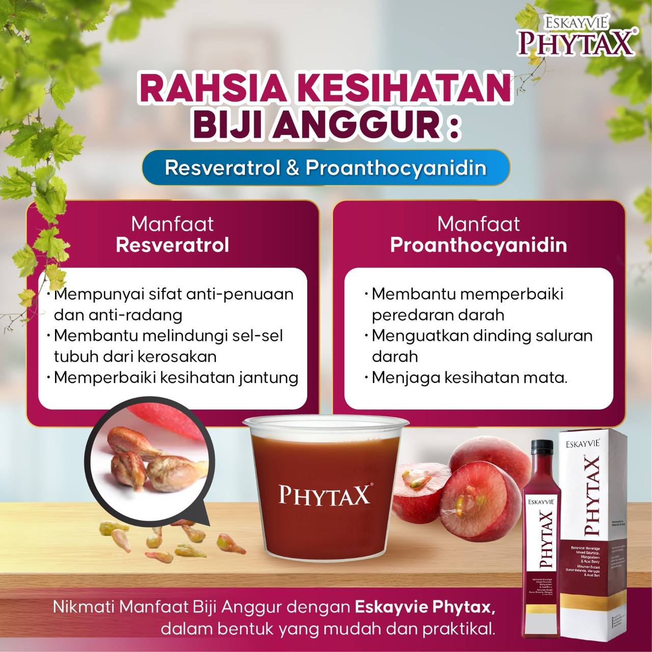 Phytax Image